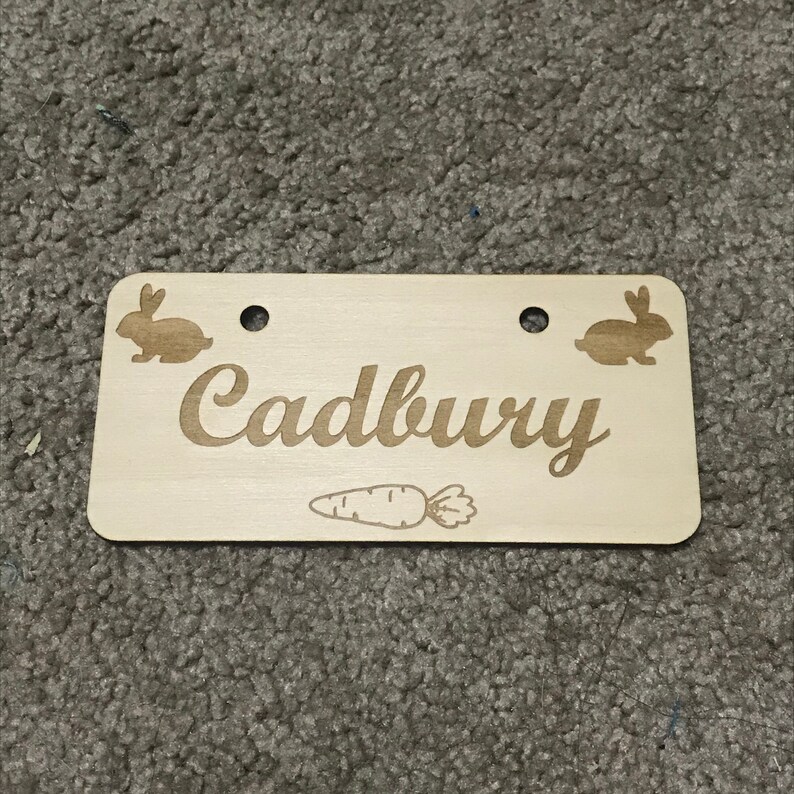 Personalized Pet Crate Name Tag Etsy