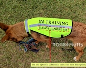 Personalised Dog Training Safety Vest, High-Visibility High Vis Reflecting Coat, 5 Sizes available, water resistent by Togs 4 Mutts