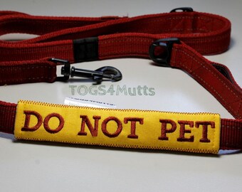 therapy dog lead
