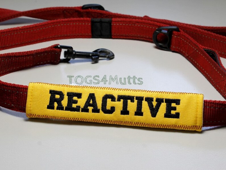 Reactive Warning Dog Leash Sleeve Lead Wrap With Etsy