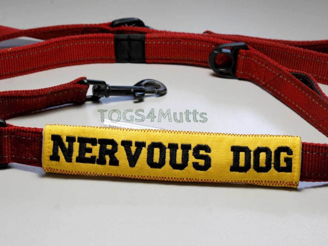 Nervous Dog Warning Dog Leash Sleeve Lead Wrap with Etsy