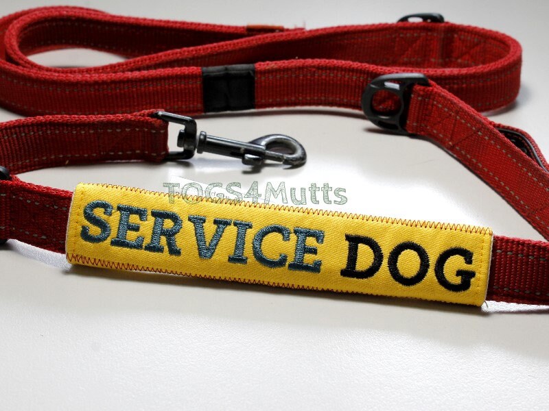 service dog lead