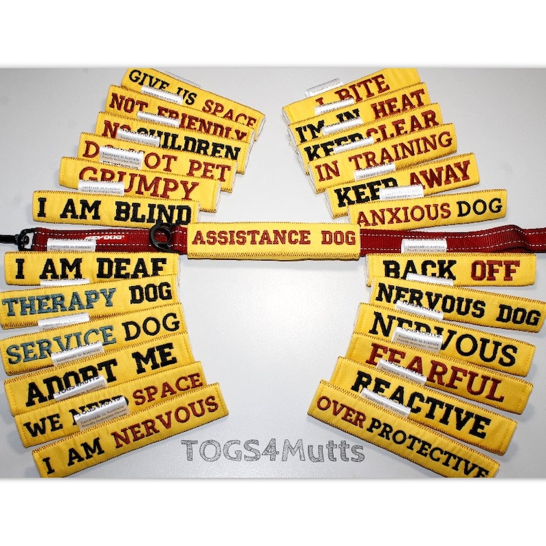 Nervous Dog Warning Dog Leash Sleeve Lead Wrap with Etsy
