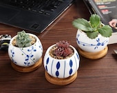 FAST SHIP Set of 3 - 2.5 Inch Porcelain Succulent with Bamboo Tray Drainage Pot Planters Ceramic Container Window Box Cactus for Home Decor