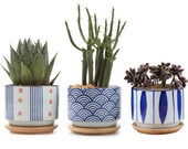 FAST SHIP Set of 3 Japanese Style Succulent Cactus Pot Planter Ceramic Container Window Box with Drainage Bamboo Tray for Home Decor