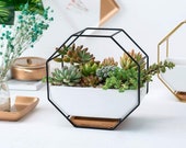 FAST SHIP Wall Mounted Black Metal Hanging Ceramic Planter With Bamboo Wood Tray Stand Tabletop Container Vase Holder Home Decor Modern