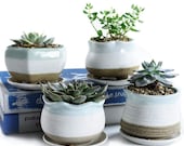 FAST SHIP Set of 4 Succulent Planter Pots with Tray Drainage Hole Flower Ceramic Blue Cement Cactus Pot Concrete Container Window Planters