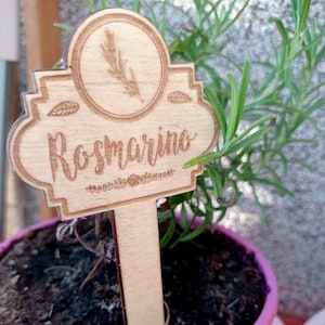 Etichette per piante Aromatiche incise a laser su legno di Pioppo