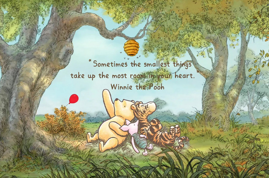 carte anniversaire winnie l ourson