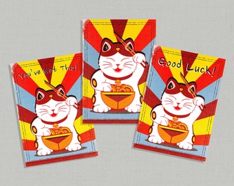 Chinesische Glückskatze Karte / Glückskarte / You've Got This! / Chinesische Glückskatze / Blanko Grußkarte / Positive Vibes Karte / Katzenkarte