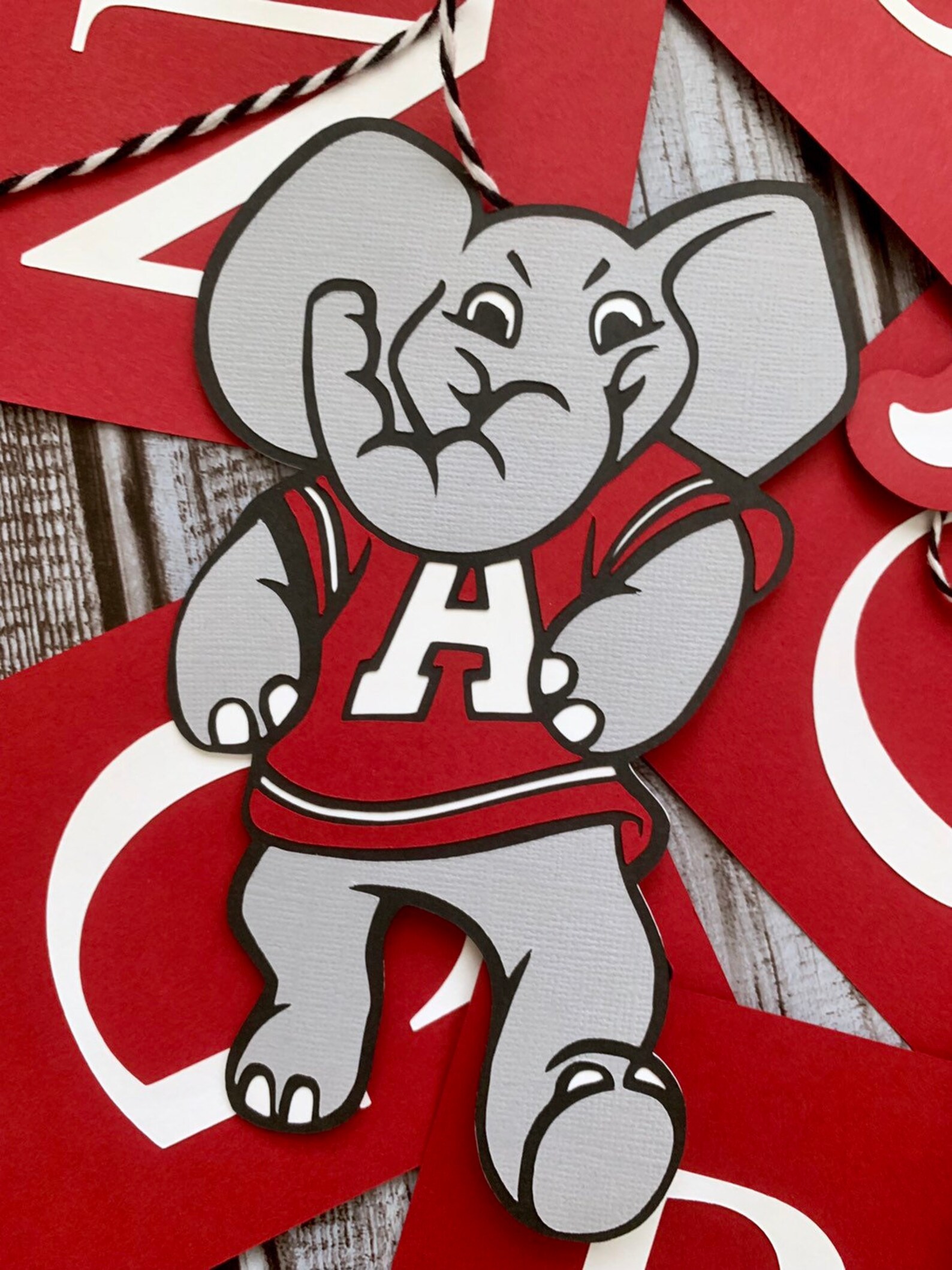 Personalized University of Alabama Graduation Banner // Custom Etsy