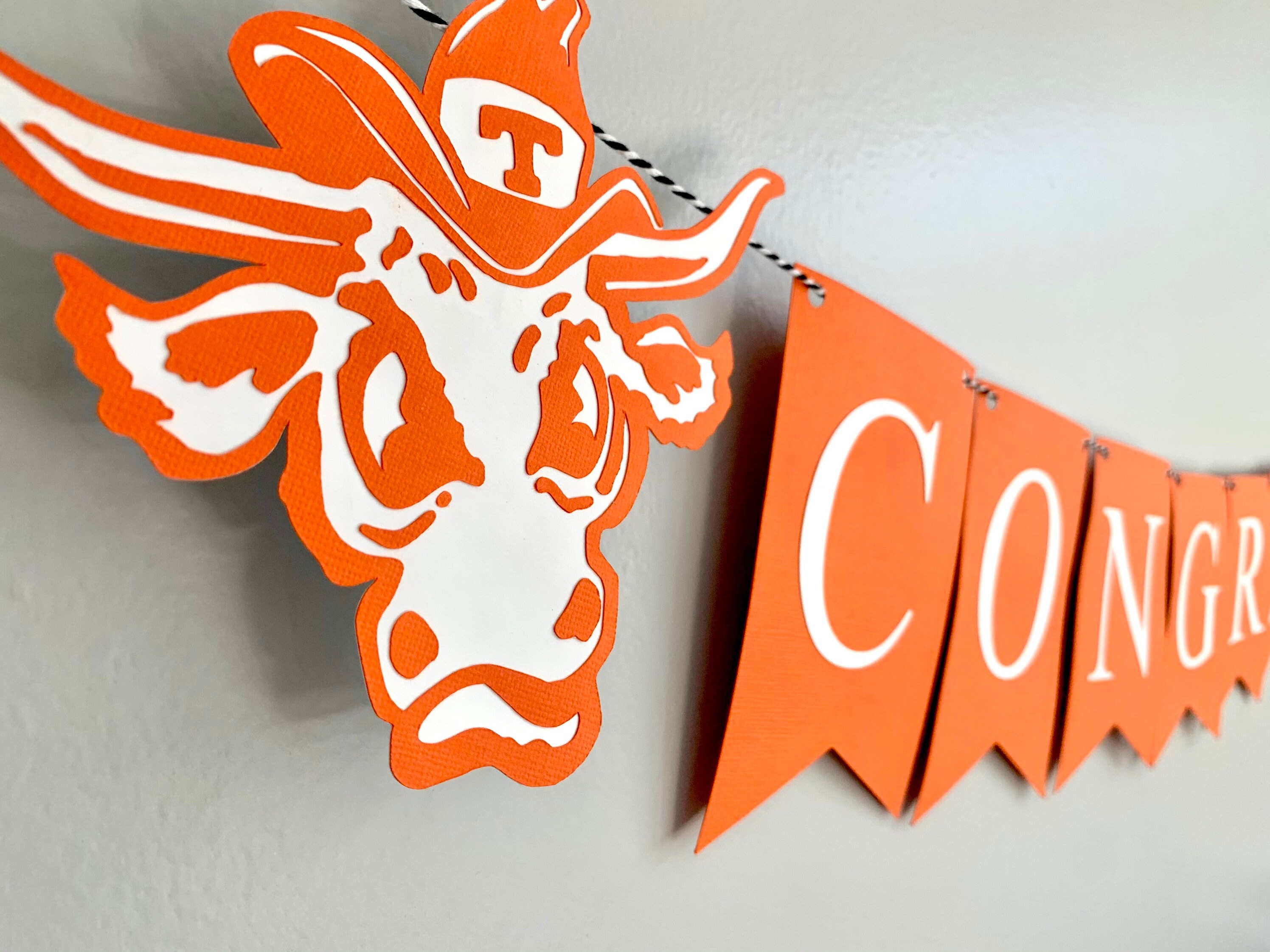 Ut Graduation Colors Personalized University of Texas Graduation Banner // Custom UT Austin ...