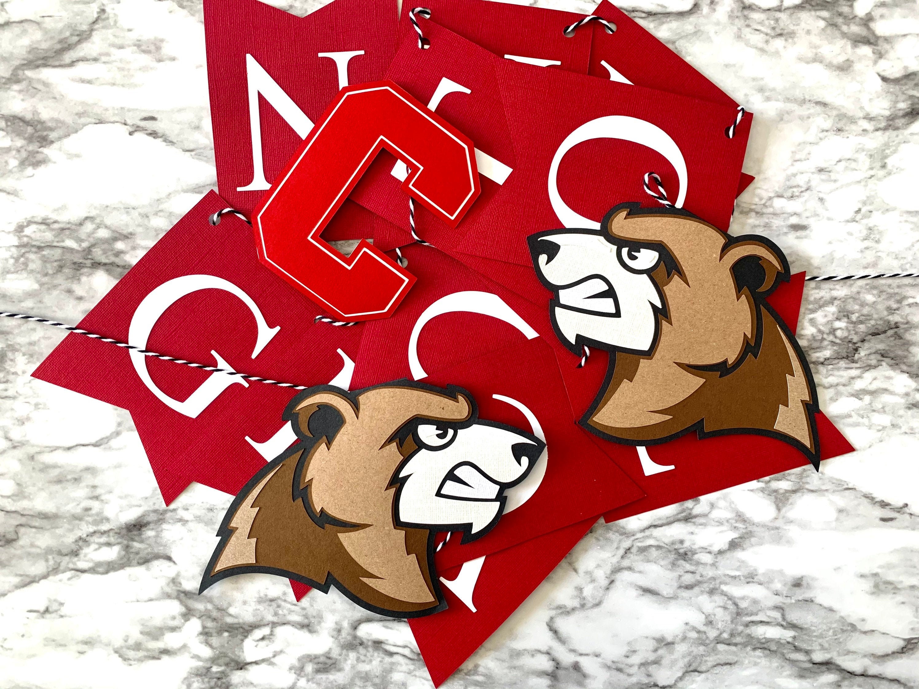 Personalized Cornell University Graduation Banner // Custom Etsy