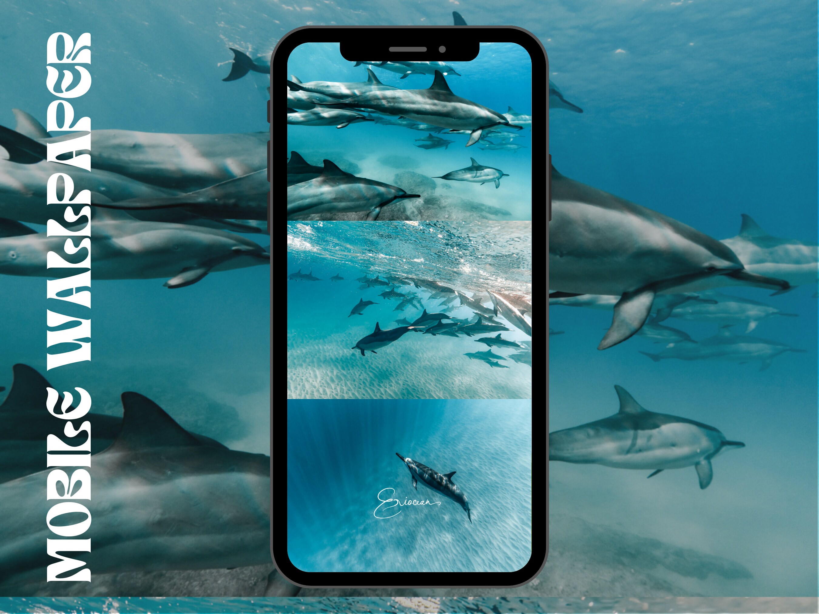 Dolphins Video Live Wallpaper by Wallpapers Studio Pro - (Android Apps) —  AppAgg