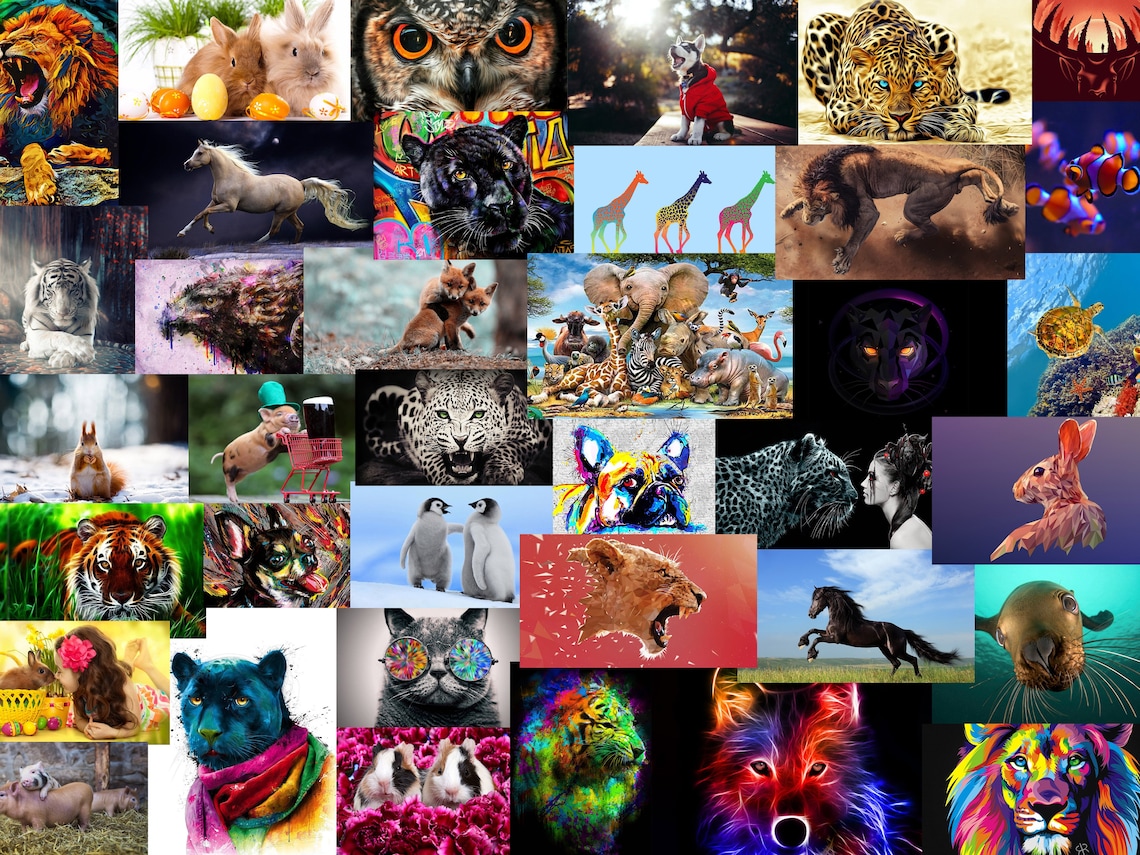 Animals Wall Collage Kit DIGITAL DOWNLOAD Animals Aesthetic Etsy
