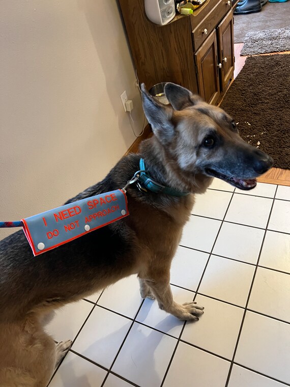 ITH Dog Leash Sleeve Do Not Approach, 47 OFF