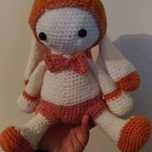 Lapin lulu l écolier