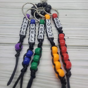 May include: Five keychains with black cords and colorful beads. Each keychain has a white bead with a word on it: "Taste", "Smell", "Hear", "Touch", and "See".