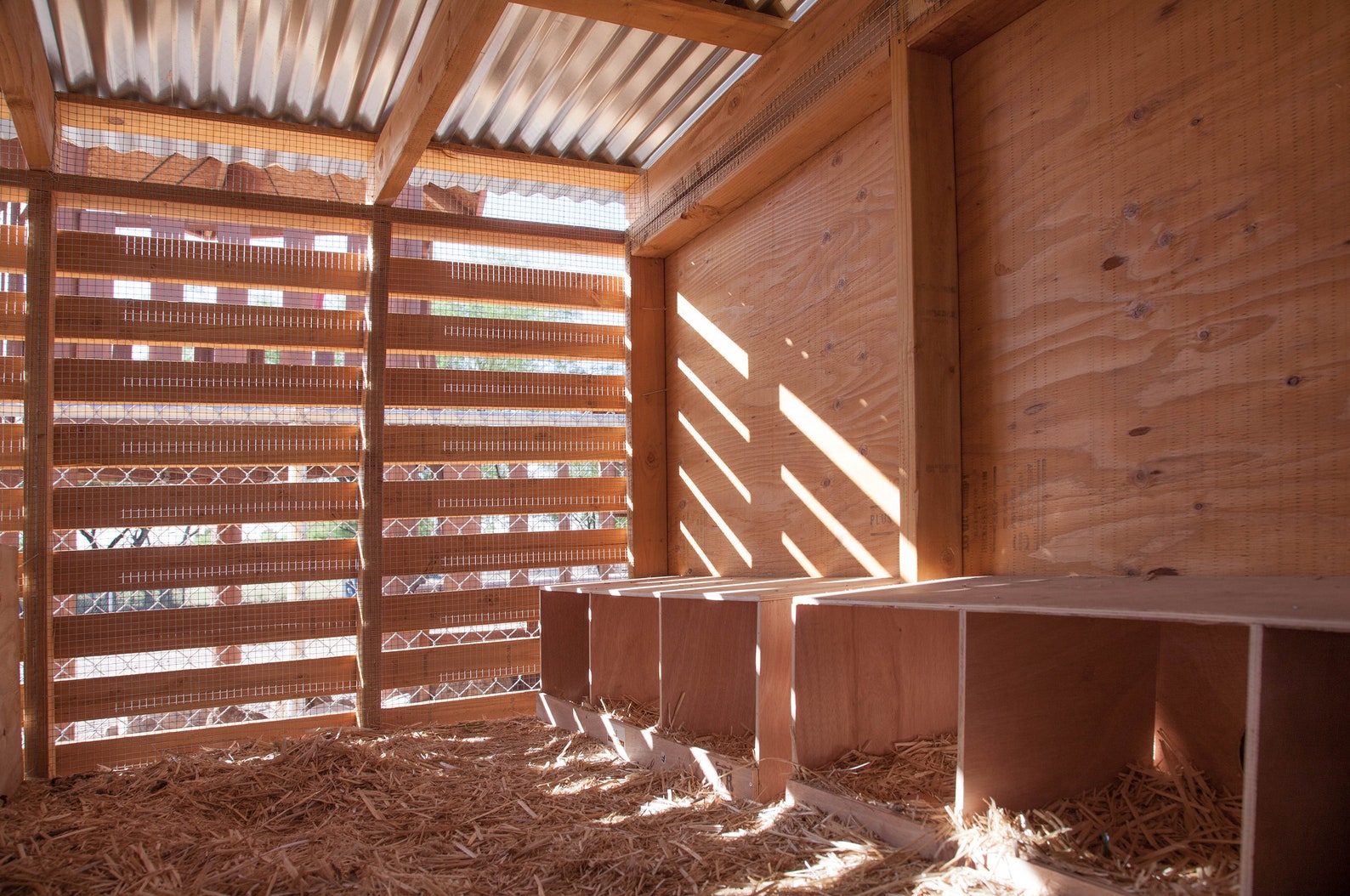 Modern Chicken Coop Plans 16' X 10' - LARGE - Etsy