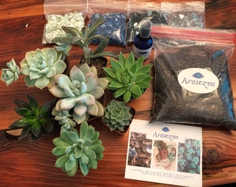 May include: A succulent terrarium kit with everything you need to create your own miniature garden. The kit includes a variety of succulents, soil, decorative glass, and a spray bottle. The kit also includes a card with the company's logo, "Arosezen", and the text "Inspired Driftwood Decor & Succulents Handcrafted in Los Angeles".