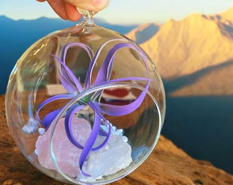 May include: A glass orb terrarium with a purple air plant and pink and white crystals inside. The terrarium is sitting on a brown rock surface.