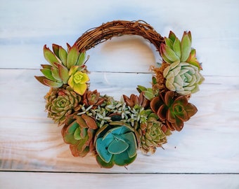 Mini succulent wreath | Wall decor | Centerpiece decor | grapevine wreath | weddings