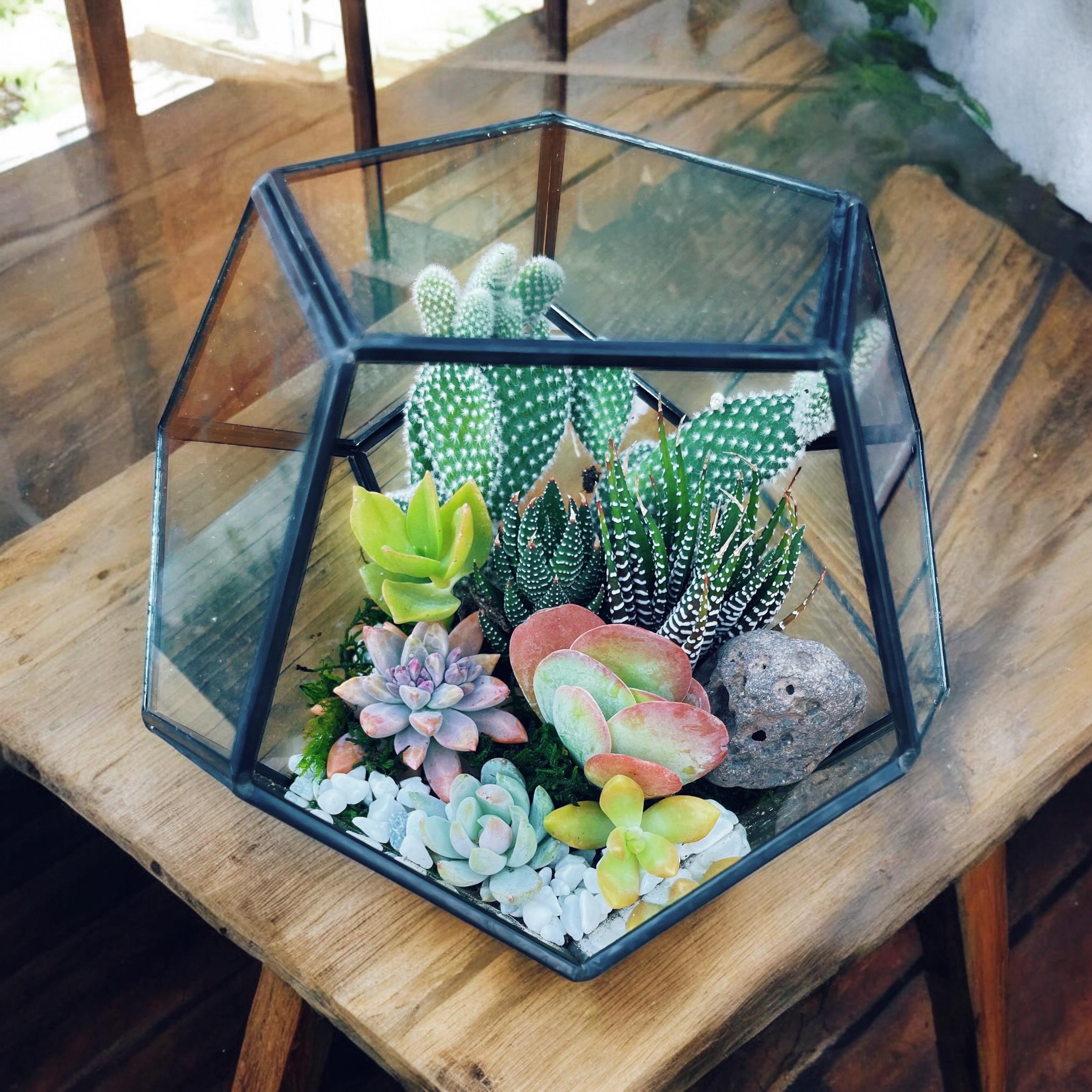 Huur Terrarium glas bij de expert in verhuur van loungemeubilair