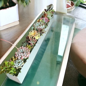 May include: A long, white planter filled with a variety of succulents. The planter is sitting on a wooden table with a green glass surface.