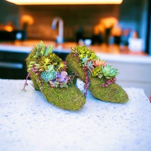 Succulent shoe arrangement | Moss planter | Shoe lover gift
