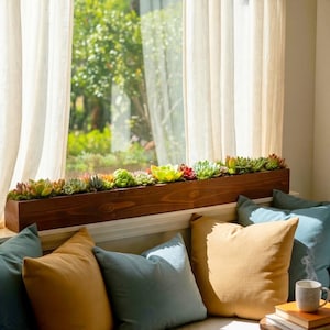 May include: A long, rectangular dark brown wooden planter box filled with a variety of small, colorful succulents in shades of green, yellow, and red, positioned on a window sill in front of sheer white curtains and soft pillows.