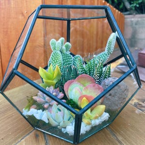 May include: A geometric glass terrarium with a black metal frame filled with a variety of succulents and cacti. The terrarium is filled with white pebbles and moss.