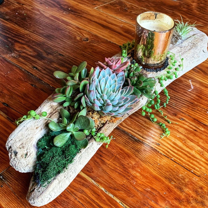 Custom Driftwood Centerpiece With Succulents Etsy