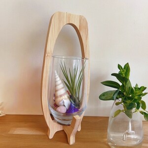 Glass Air Plant Terrarium With Wooden Stand | Art Deco Air Plant Holder |  Air Plant Decor - Etsy