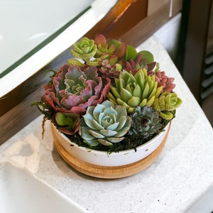 May include: A white ceramic planter with a bamboo base, filled with a variety of succulents. The succulents are in shades of green, pink, and red.