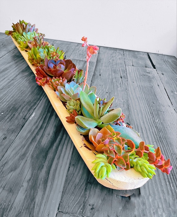 XXL Wooden Dough Bowl Succulent Centerpiece 39 Inch Handmade Etsy
