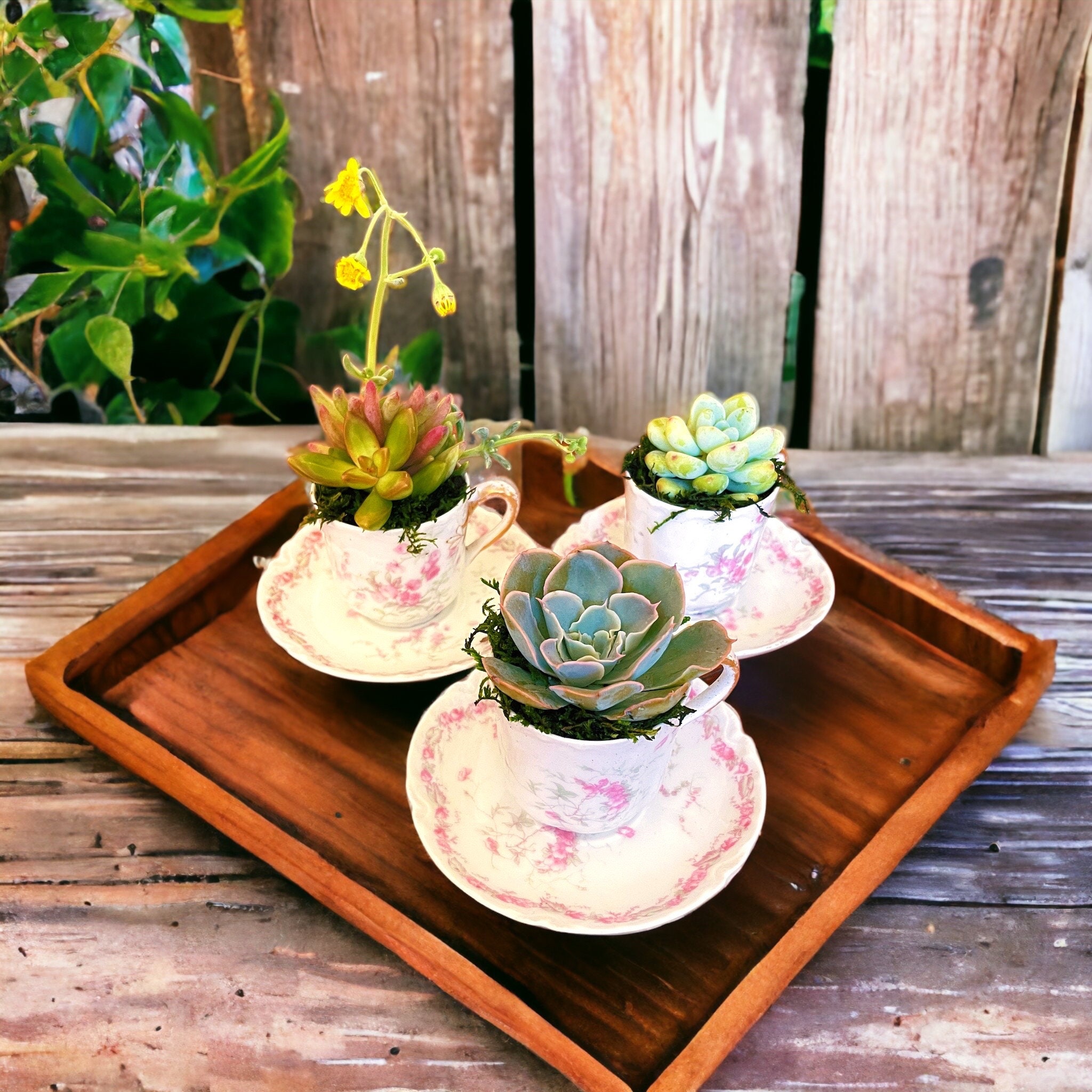 Haviland Tea Cups - Etsy Haviland Tea Cups - Etsy
