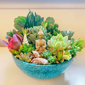 A day at the beach succulent arrangement  | Living zen garden | 6.5” inch succulent planter | Limited edition