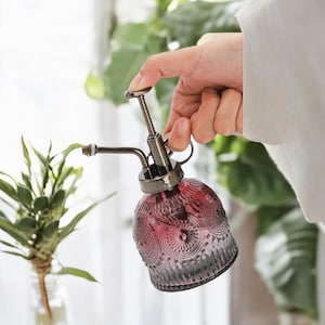 Vintage Glass Plant Mister – Retro Style Watering Spray Bottle for Air Plants, Ferns & Succulents