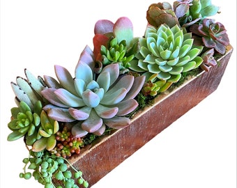 Succulent centerpiece in 12 inch rectangular gold planter | Succulent arrangement | Event decor | holiday gift