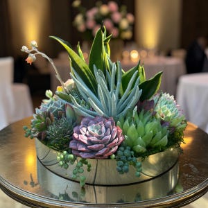 May include: A silver metal container filled with a variety of succulents. The arrangement includes green, purple, and gray-blue succulents, with a few flowering stems. The container sits on a round, gold-colored table, with a blurred background.