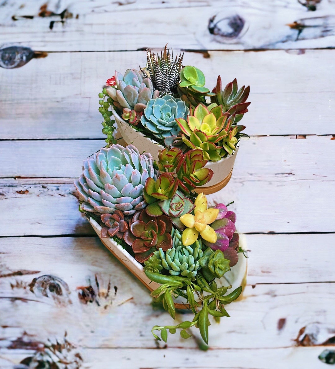 coffee table succulents 16'' Succulent Centerpiece Table Decor, White main image 0