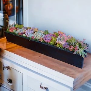 Handmade Succulent Centerpiece – 30" or 36" Cedar Planter with 30+ Live Succulents
