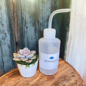 Succulent Watering Bottle with Care Instructions | Perfect for Moss Topiaries, Birdhouses, Wreaths and living succulent art