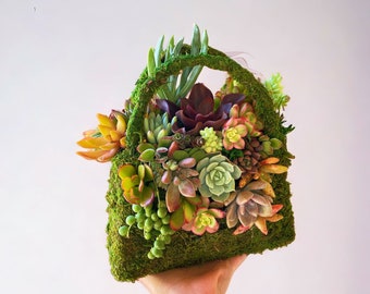 Moss Purse Planter with Live Succulents | Unique Succulent Gift for Her | Fashion-Inspired Plant Arrangement
