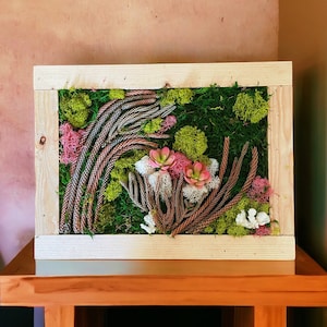 Handmade moss and succulent wall art | Custom and made to order