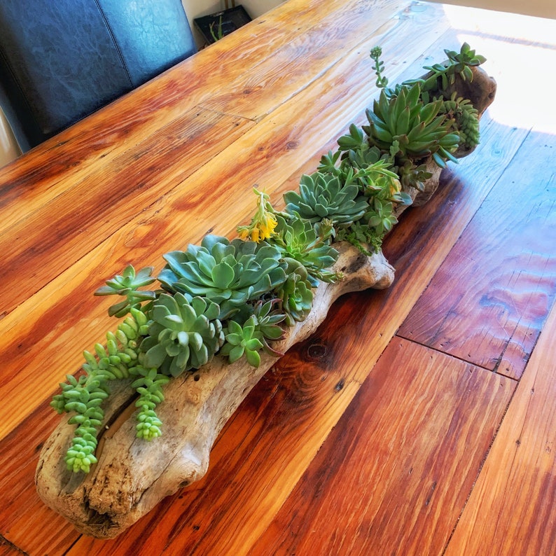 Custom driftwood centerpiece with succulents Etsy