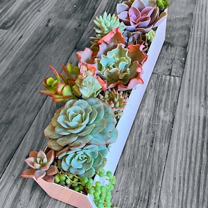 Large 16 inch metal succulent arrangement | Succulent centerpiece | live succulents | Event decor