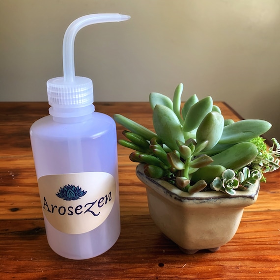 Succulent Fertilizer - Etsy