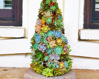 Living succulent and moss Christmas tree | Holiday decor | Living art | Custom gift