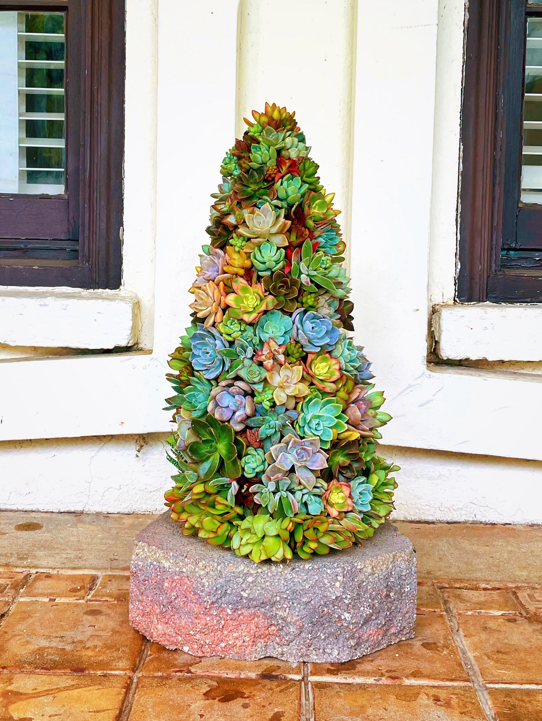Living Succulent and Moss Christmas Tree Holiday Decor Living Art